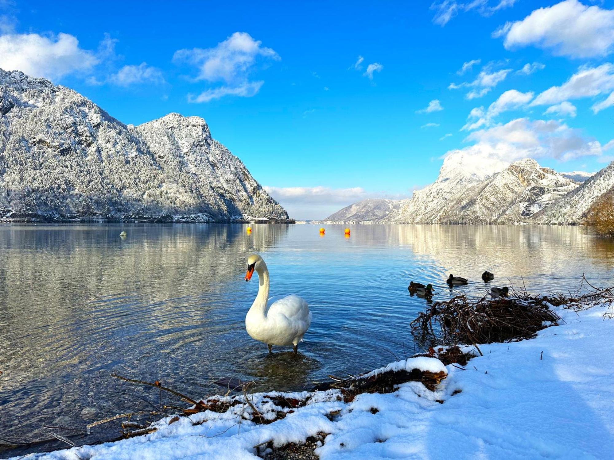 Appartement Bergmann Ebensee Exteriér fotografie